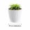 Maceta De Plástico Para Jardín, Terraza O Balcón | Color: Blanco | Diámetro: 19 Cm | Diseño Oasis