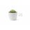 Maceta De Plástico Para Jardín, Terraza O Balcón | Color: Blanco | Diámetro: 13 Cm | Diseño Oasis