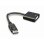 Adattatore Gembird DisplayPort maschio a DVI femmina 10 cm