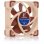Refrigeration Air Noctua 24V 4 cm NF-A4x10 PWM 5000 RPM Silence