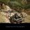Halo: Campaign Evolved XBOX Series X