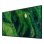 Monitor PC Sony BZ35P 55" UltraHD 4K 100Hz IPS HDR Android WiFi Segnaletica