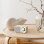 Radio Sangean WR-7 PLUS Bluetooth 5.1 Autonomie 40h Design Bois