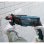 Perforateur Bosch Professional GBH 2-21 SDS-Plus 720W 3 Modes