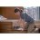 Lijadora vibratoria Bosch Professional GSS 18V-13 Inalámbrica 18V