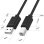 USB 2.0 Kabel Unitek Y-C4001GBK USB-A auf USB-B 2 m Schwarz