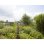 Gartenschlauch Spirale Gardena 7,5 m mit integriertem Halter und Anschlussset