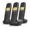 Kabelloses Telefon Gigaset Basic 100 Trio DECT 3 Hörer LCD-Display 1,5" Freisprechen Anrufblockierung