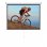 Rollvorhang Art ER M84 4:3 170 x 127 cm
