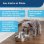 Fuente de agua para mascotas PetSafe Seaside acero inoxidable 1,8 L bomba silenciosa