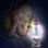 Kit DIY Mini Lampada a Lava Multicolore Canal Toys Style 4 Ever Rosa