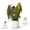 Jardinière Elho B.for Soft Round Blanche Ø25 cm 7,9 L Plastique Recyclé