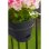 Jardinière Elho Vibia Campana Allin1 11L Antracite avec plateau intégré