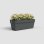 Jardinière Artevasi Capri RE 50 cm Anthracite Avec Réservoir d'Eau