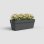Jardinière Artevasi Capri RE 50 cm Anthracite Avec Réservoir d'Eau