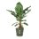 Jardinière Elho Greenville Verte Ø55 x H50 cm Extérieur Résistante Gel UV