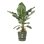 Jardinière Elho Greenville Verte Ø55 x H50 cm Extérieur Résistante Gel UV