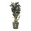 Jardinière Elho Greenville Verte Ø55 x H50 cm Extérieur Résistante Gel UV
