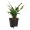 Insert auto-arrosage Elho Self-watering Insert 21 Living Noir 21 cm 4 L
