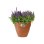Maceta Elho Vibia Campana Round 55 Exterior Marrón Ø55 x 47 cm 74 L