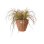 Maceta Elho Vibia Campana Round 55 Exterior Marrón Ø55 x 47 cm 74 L