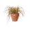 Maceta Elho Vibia Campana Round 55 Exterior Marrón Ø55 x 47 cm 74 L