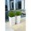 Maceta LECHUZA Cubico Color 30 All-in-One Autorriego 14 L Interior/Exterior