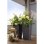 Blumenkasten LECHUZA Cubico Color 40 Anthrazit 40x40x75cm Selbsbewaesserung 31L