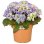 Maceta Elho Green Basics 45 cm Mild Terra Plastique Recyclé Drainage Empilable
