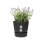 Jardinière Ronde Elho Greenville Round 40 31L Noir Mat 100% Plastique Recyclé