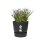 Jardinière Ronde Elho Greenville Round 40 31L Noir Mat 100% Plastique Recyclé
