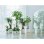 Macetero Elho B.for Soft Rond Blanc Ø35 H32 27L