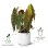 Macetero Elho B.for Soft Rond Blanc Ø35 H32 27L