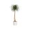 Macetero Elho B.for Soft Rond Blanc Ø35 H32 27L