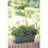 Vaso da fiori Elho Barcelona Balconnière 40 Rettangolare Antracite Plastica Riciclata
