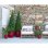 Maceta Artevasi Capri Campana Blanche 35 cm 20 L Plastique Recycle Drainage Int Ext