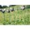 Malla de proteção para aves Kerbl 50 m x 106 cm verde não electrificável