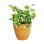 Jardinera Elho Vibia Campana Easy Hanger Petite 2,8 L Jaune Mat