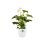 Jardinière Elho Brussels Round 25 cm Blanche PP 8,7 L Acabado Mate Anti-UV