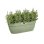 Maceta para balcón Elho Vibia Campana Easy Hanger Large Verde 7,5 L
