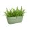 Maceta para balcón Elho Vibia Campana Easy Hanger Large Verde 7,5 L