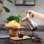 Cafetera Italiana Livoo DOD117A 300 ml 6 Tazas 480 W Base giratoria