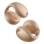 Écouteurs Soundcore C40i sans fil Bluetooth sport et appels bronze