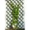 Treillis Nature Expandible Vert 50x150 cm FSC - Mots plats 18x6 mm