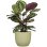 Jardinière Ronde Deroma Nova 231 7L Ø24cm Vert Doux Mat