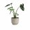 Jardinière Artevasi Miami 30 cm Crème Mat Plastique 13 L