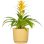 Jardinière Ronde Deroma 236 13L Ø29cm Jaune Mat avec Bac de Détente