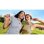 Auriculares Philips TAMS1BK/00 inalámbricos Bluetooth con micrófono y USB-C negro