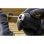 Avvitatrice Stanley SFMCD700D2A 18V 2 batterie 50 Nm