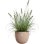 Vaso Elho Sereh Round 60 cm 110 L Marrone Mate Resistente UV e Gelo